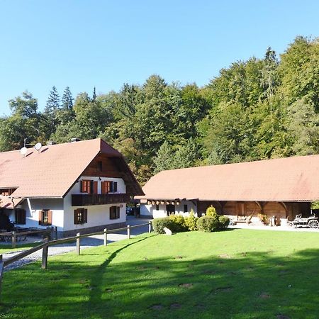 נובו מסטו Domacija Seruga Countryside Hotel מראה חיצוני תמונה