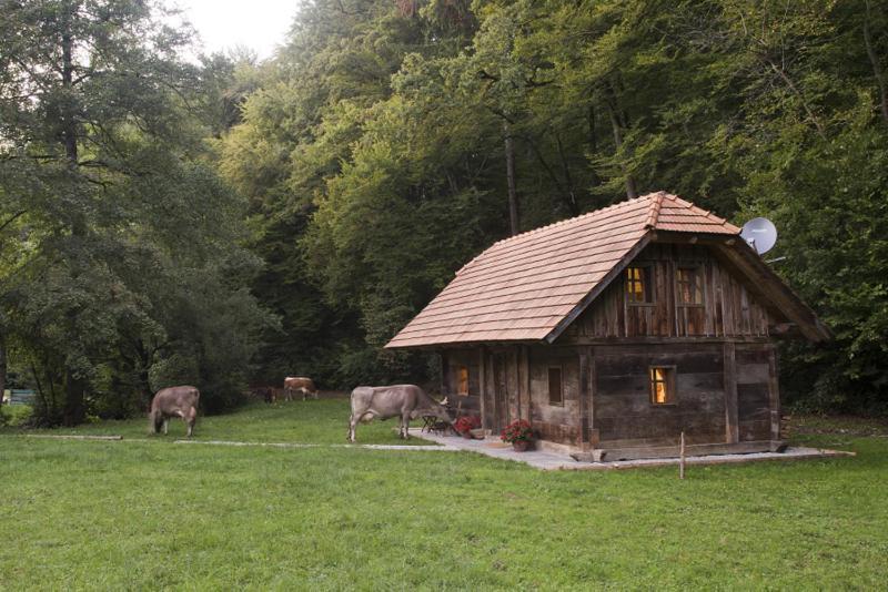 נובו מסטו Domacija Seruga Countryside Hotel מראה חיצוני תמונה