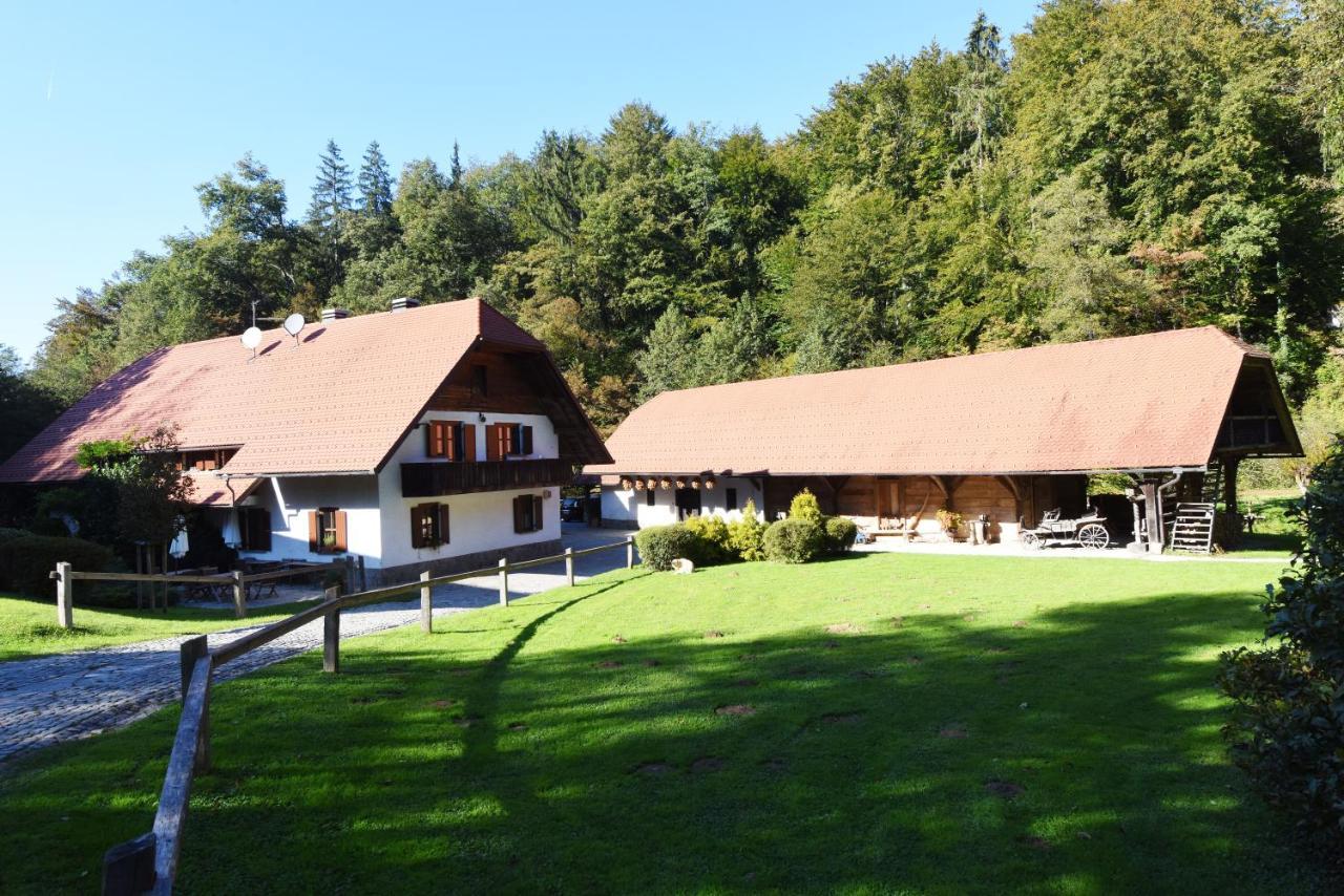 נובו מסטו Domacija Seruga Countryside Hotel מראה חיצוני תמונה