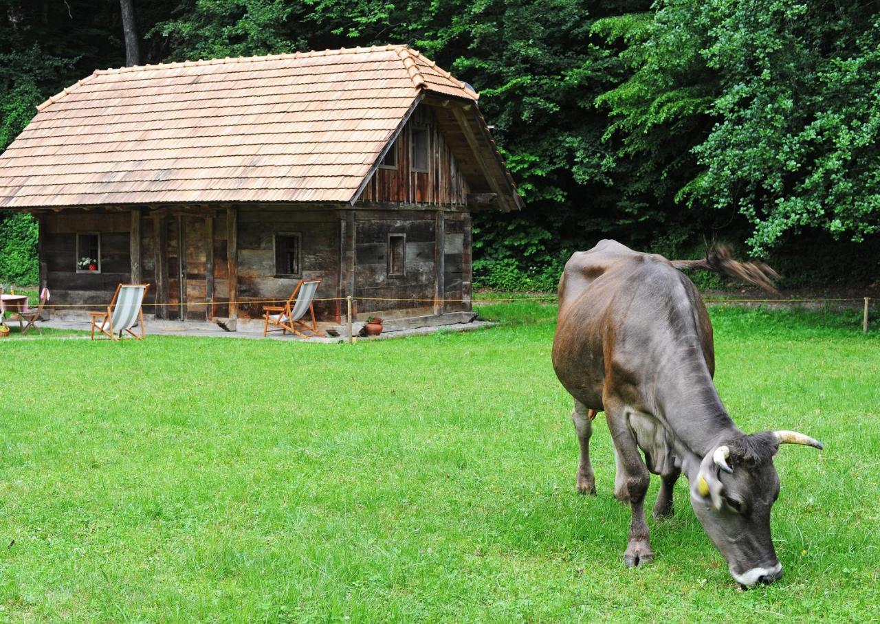 נובו מסטו Domacija Seruga Countryside Hotel מראה חיצוני תמונה