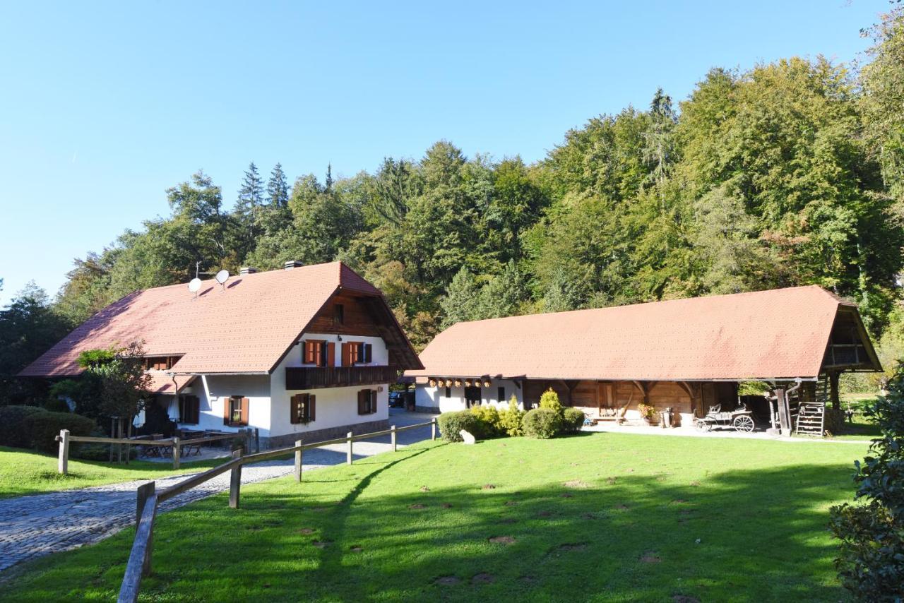 נובו מסטו Domacija Seruga Countryside Hotel מראה חיצוני תמונה
