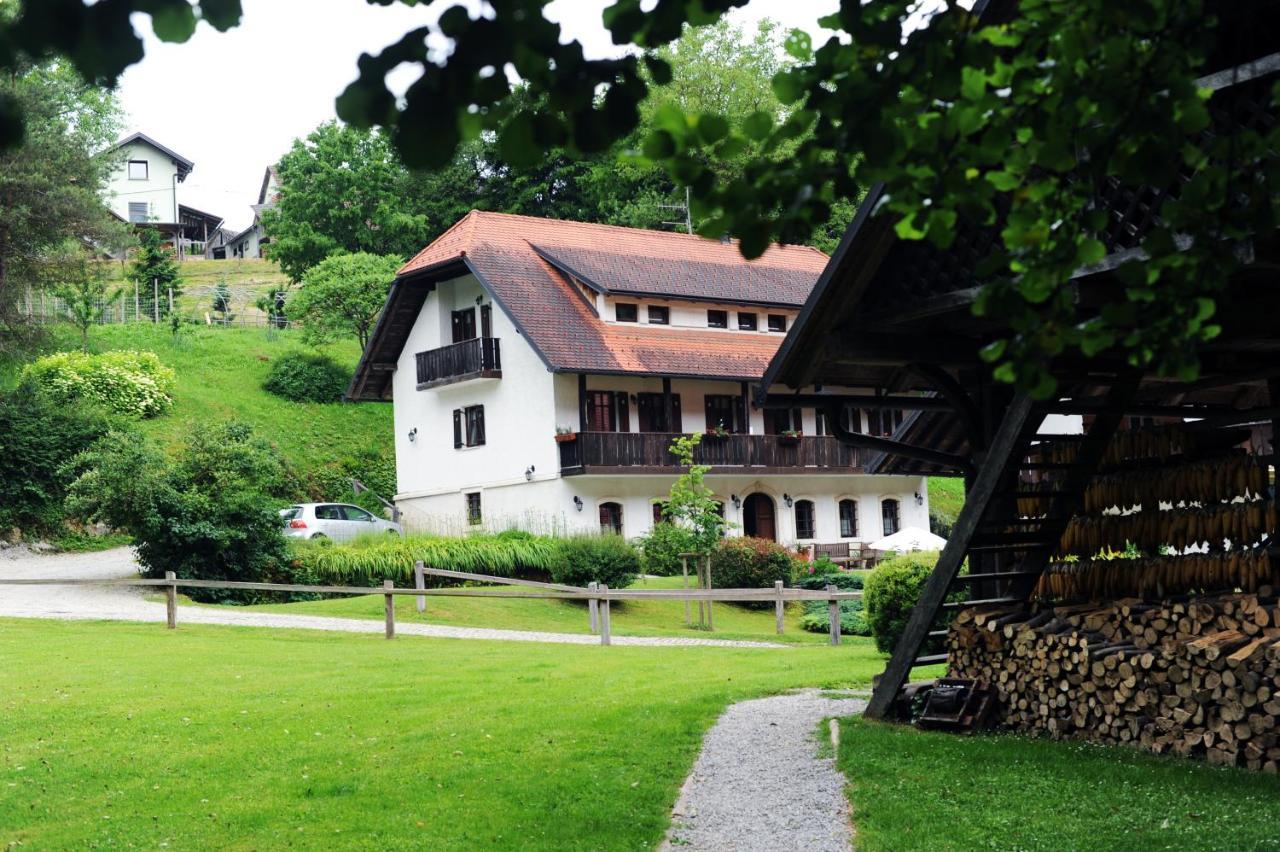 נובו מסטו Domacija Seruga Countryside Hotel מראה חיצוני תמונה