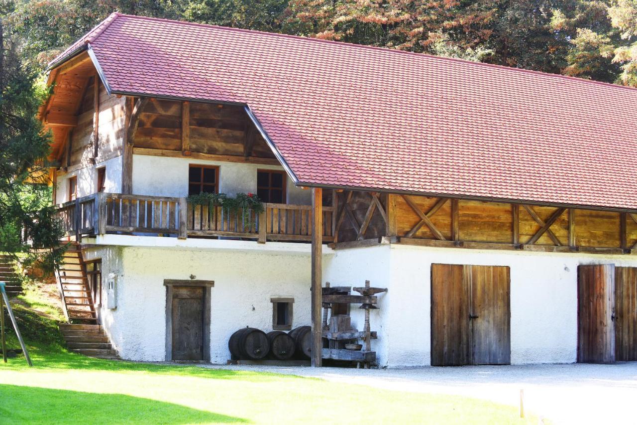 נובו מסטו Domacija Seruga Countryside Hotel מראה חיצוני תמונה