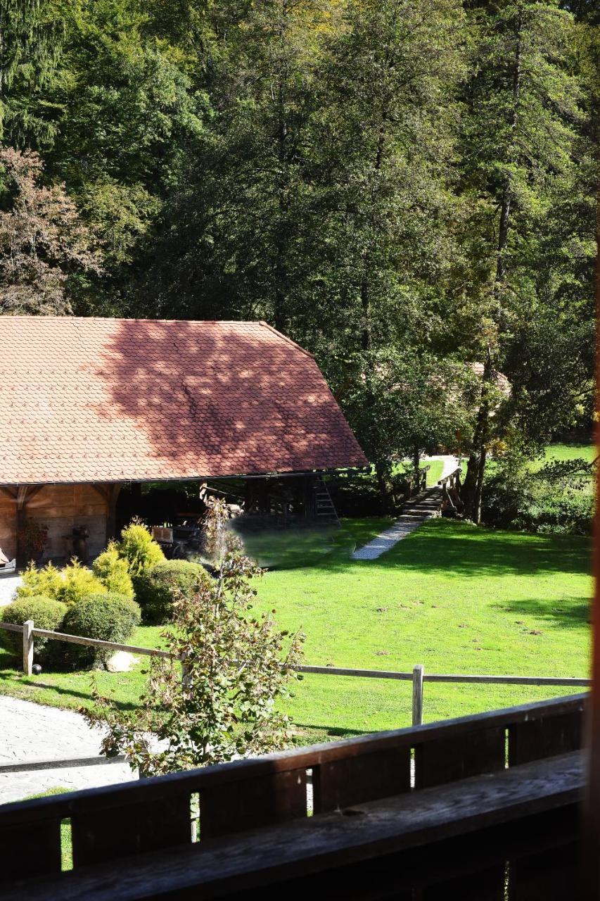 נובו מסטו Domacija Seruga Countryside Hotel מראה חיצוני תמונה
