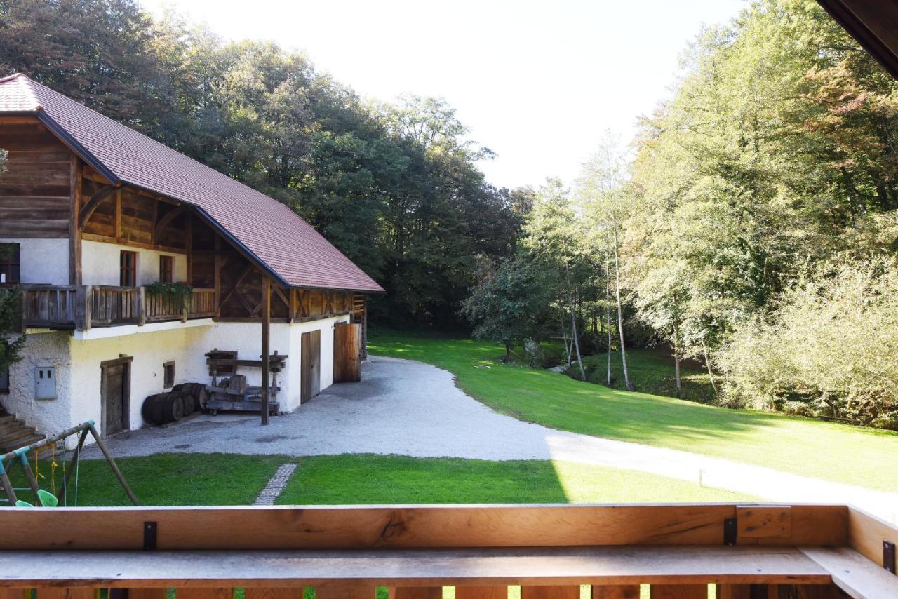 נובו מסטו Domacija Seruga Countryside Hotel מראה חיצוני תמונה