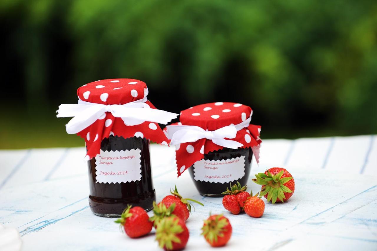 נובו מסטו Domacija Seruga Countryside Hotel מראה חיצוני תמונה